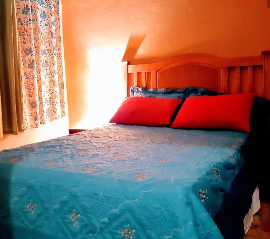 Hotel El Tronco Inc Boca Chica Luaran gambar